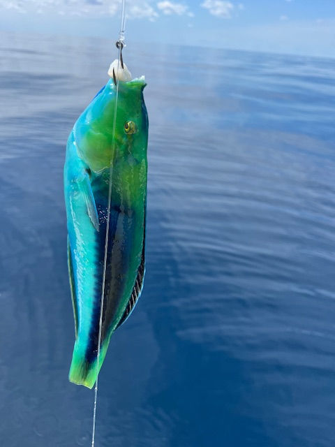 Fishing charters Sneads Ferry NC | One More Cast Fishing Adventures