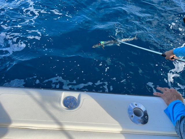 Fishing charters Sneads Ferry NC | One More Cast Fishing Adventures